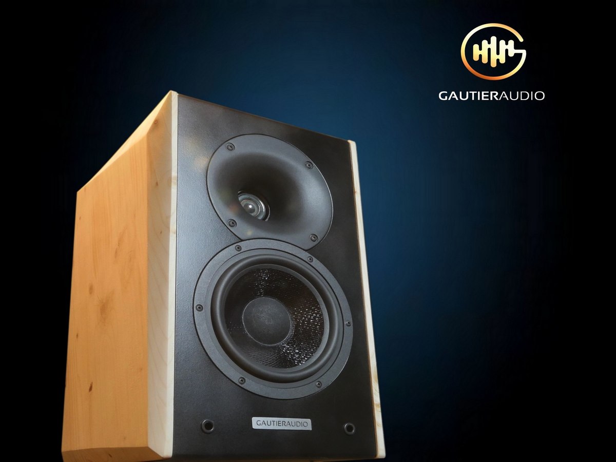 Enceinte VISION2 5TH, coffrage en bois massif clair et face avant noire